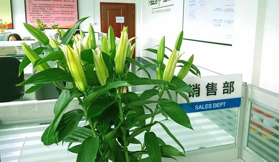 濃情七夕，最美祝福！